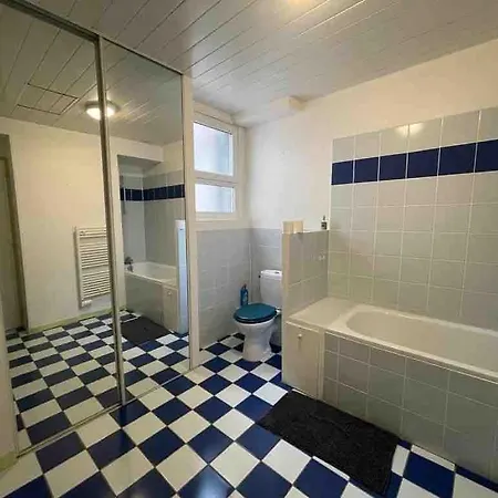 Beau Duplex Situe En Hypercentre D'angers *