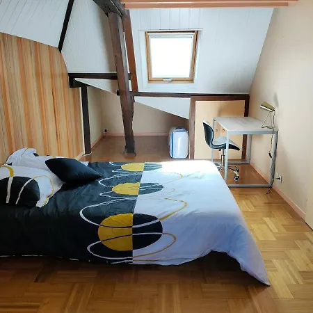 公寓 Beau Duplex Situe En Hypercentre D'angers *
