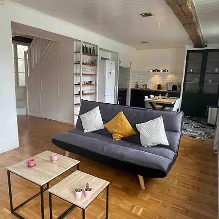 Beau Duplex Situe En Hypercentre D'angers *